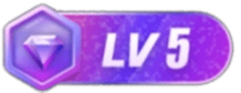 LV5 等级-LV5-提米资源网